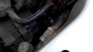 Как поменять антифриз на хонда фит первого поколения honda fit gd1