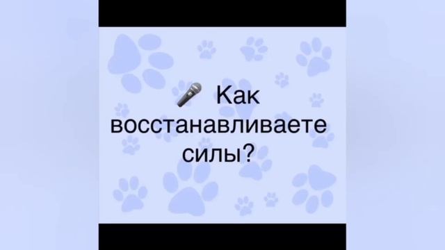 Интервью у собаки из приюта спустя 6 месяцев смотреть онлайн