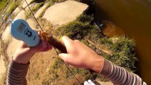 Мормышинг. Пример проводок. Домашнее задание для начинающих. Жужжащая проводка.