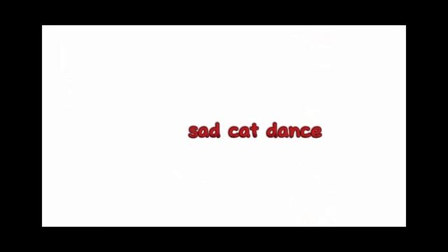 sad cat dance (not fake) смотреть онлайн