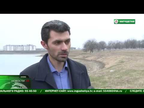 Экологическая реабилитация пруда в г. Сунжа