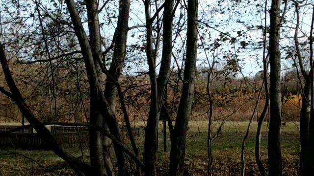 Родник . Декор. Красивые родники смотреть онлайн