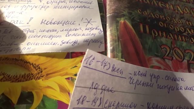 Лунный календарь на  июль 2021 г.