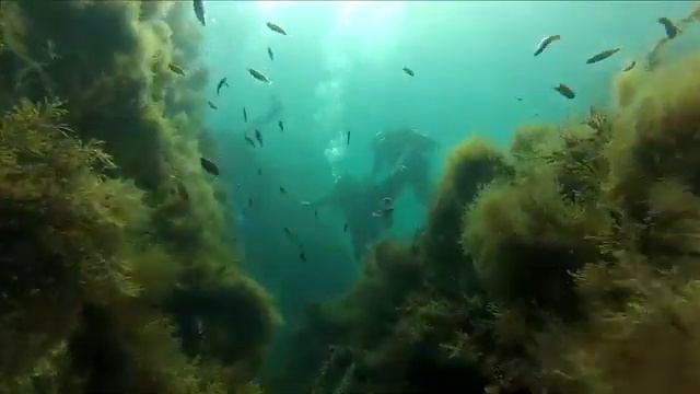 Дайвинг Крым, бухта Ласпи смотреть онлайн