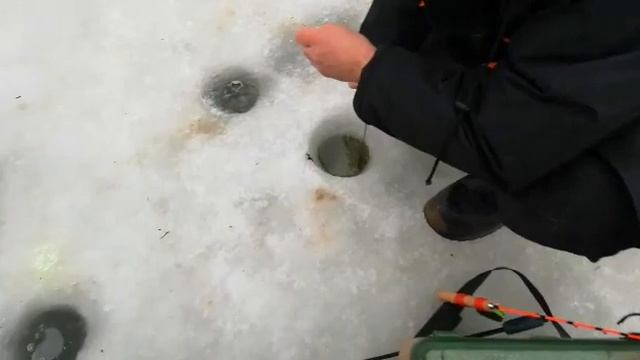 Трофей пойман смотреть онлайн