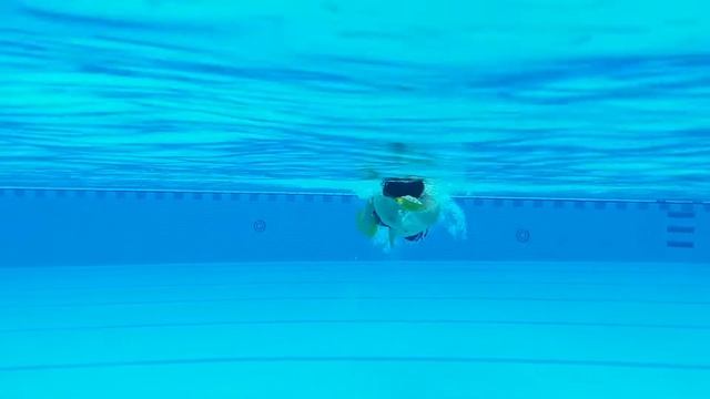 Finis Agility Paddles [How to use it effectively] смотреть онлайн