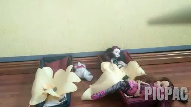 2 серия/СТРАШИЛКА/ЖИЗНЬ ПОСЛЕ СТРАШНОГО СНА/ #picpac #stopmotion #monsterhigh смотреть онлайн