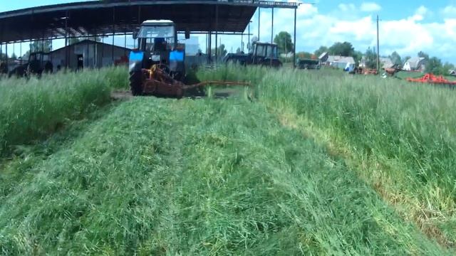 Косим сено Косилкой " Стриж"Россельмаш. смотреть онлайн