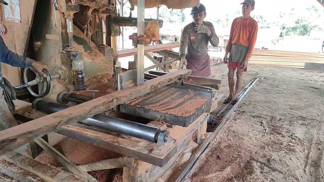 Ngerii... menggergaji wujud kayu besar yang berusia tua#sawmill смотреть онлайн