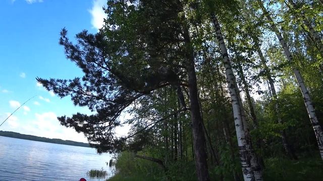 Белка и Водяной ... смотреть онлайн