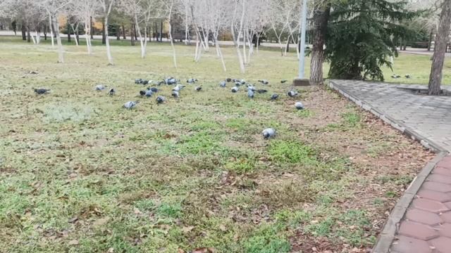 Вы так нервничаете, будто я продала ваш дом. Но я продала свой собственный... смотреть онлайн