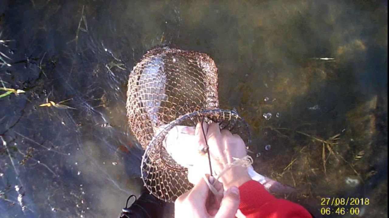 Рыбалка-нереальный клев. Бешеная рыба!!!