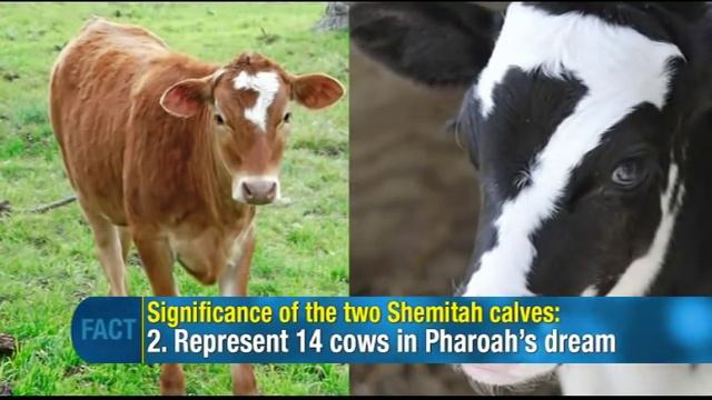 Jonathan Cahn: 2 Times 7 Cows Appeared In America Like In Pharaoh's Egypt