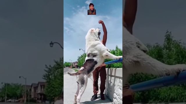 22 February 2024 смотреть онлайн