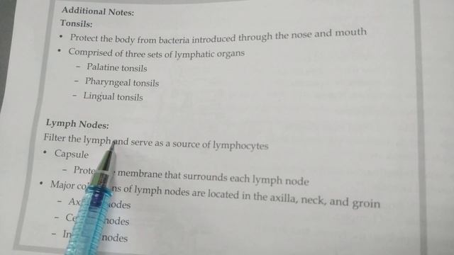 TONSILS & LYMPH NODES смотреть онлайн