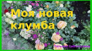 Новый уголок с розами