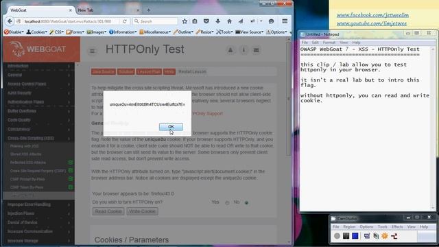 OWASP WebGoat - XSS - HTTPOnly смотреть онлайн