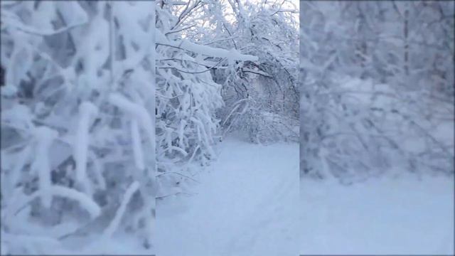 в ростове-на-дону выпал снег. и я рад этому, потому что это самое прекрасное время года! смотреть онлайн
