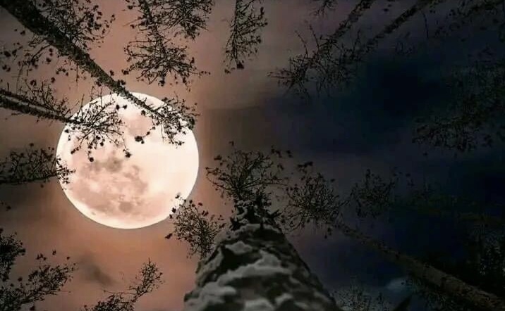 Бессильна медицина