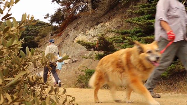 Volunteer for Your National Parks смотреть онлайн