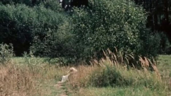 Вишневый сад The Cherry Orchard 1993