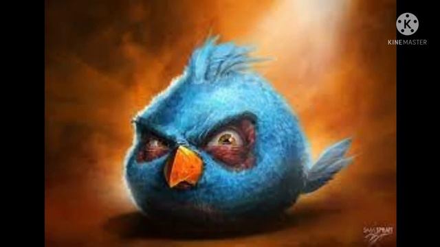 all angry brid смотреть онлайн