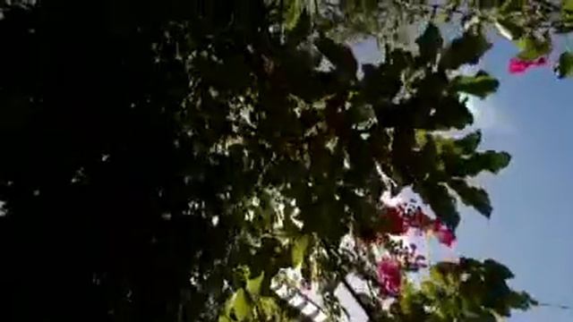 tema: El Huerto autor:CESAR MENDOZA CD: TODO A CRISTO смотреть онлайн