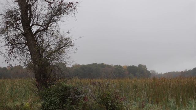 Приди ко мне - Премьера песни 2020 Исполняет: Эллисен Косован