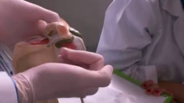 BURSA art humeri смотреть онлайн