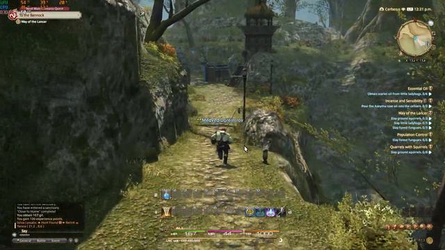 Я ничего не понимаю! : Final Fantasy XIV смотреть онлайн