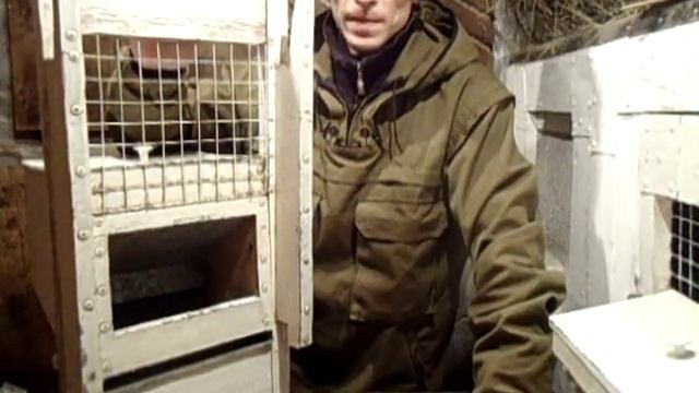 Кормушка и поилка в клетке у кролика смотреть онлайн