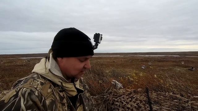 ОСЕННЯЯ ОХОТА НА ГУСЕЙ 2020 В ТУНДРЕ НАО смотреть онлайн