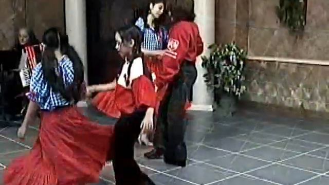 Waldegger - A German folk dance смотреть онлайн