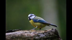 Пришла подруга жены переночевать, но то что произошло потом я не ожидал.