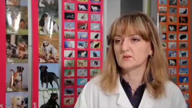 ПРИЈАТЕЛИ | Емисија за миленици, 08 | Гулаби | (2/2) смотреть онлайн