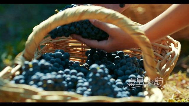 Welcome To Qin Huangdao City