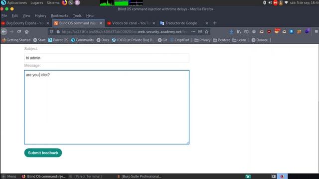 Blind OS command injection with time delays смотреть онлайн