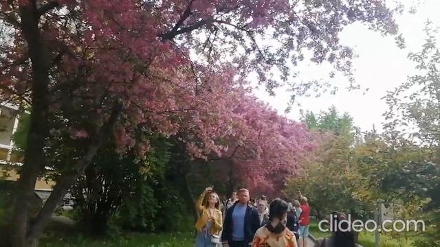 14 05 2023 г Екатерининский парк, Москва Часть 2 смотреть онлайн