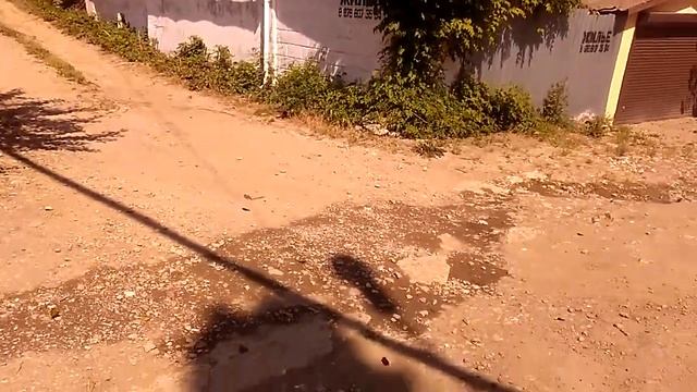 Бабочки в Лазурном