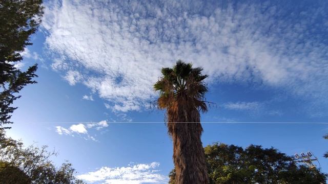 16 кислева 5784 — 29 ноября 2023. Ночной урок Зоар с равом Цви Элазар Давид Нисанзон. смотреть онлайн