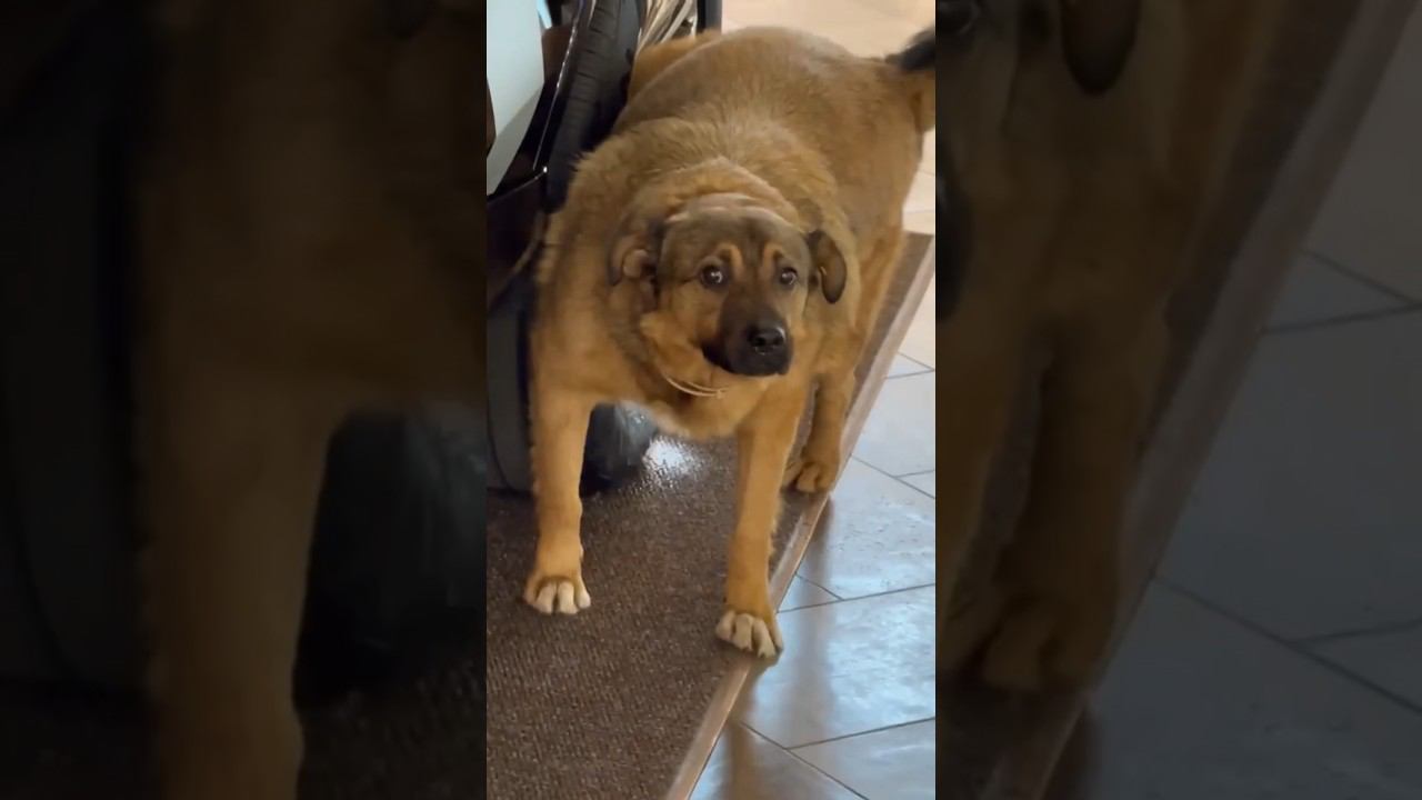 Обмыли новую машину