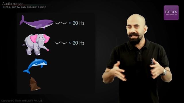 Audible and Inaudible Sounds | Characteristics of Infrasound, Ultrasound and Audible Sound смотреть онлайн