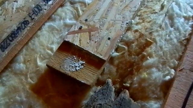 Сшитые балки перекрытия (ОСП+дюймовка) своими руками. смотреть онлайн