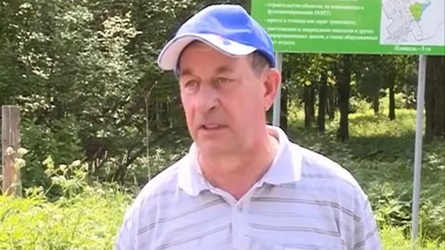 Вологодские леса приведут в порядок смотреть онлайн