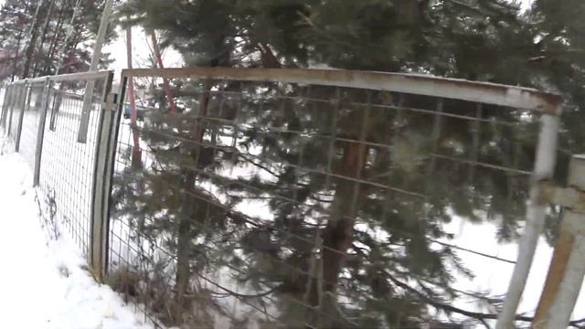 ПОШЁЛ ПРОХОДИТЬ КОМИССИЮ / А ТУТ ТАКОЕ??? ЗАШЁЛ К МАМЕ / СУПЕР СКОВОРОДА.