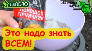 ИЗБАВИТЬСЯ ОТ ТЛИ и БЛОШКИ НАТУРАЛЬНО и БЕСПЛАТНО. Мифы и реальность про «забудьте о тле навсегда».