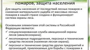 Урок 16 Профилактика лесных и торфяных пожаров, защита населения
