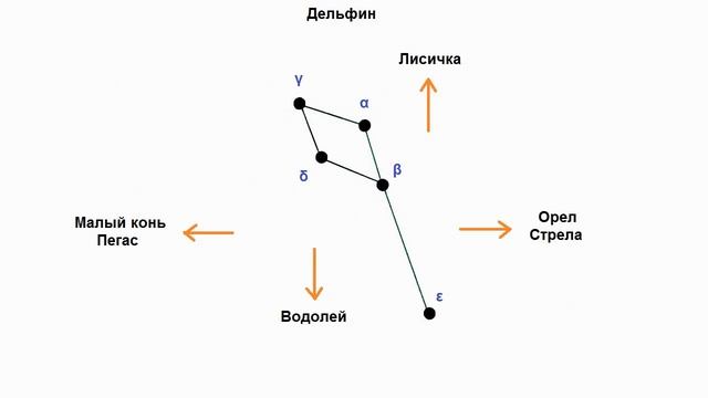08 Дельфин смотреть онлайн