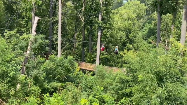 Things To Do In GATLINBURG TENNESSEE || PIGEON FORGE смотреть онлайн