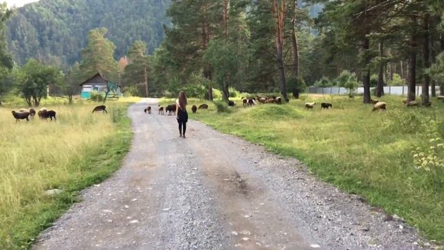 Chemal. Altay. Russia смотреть онлайн